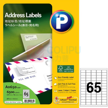 普林泰科 printec 地址打印标签 A0650-100 65分 38.1*21.1mm 100页/包
