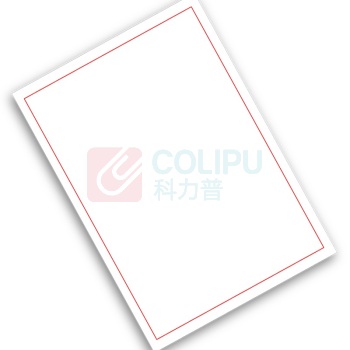 丽标 LB-标签纸 220mm*260mm (白色)