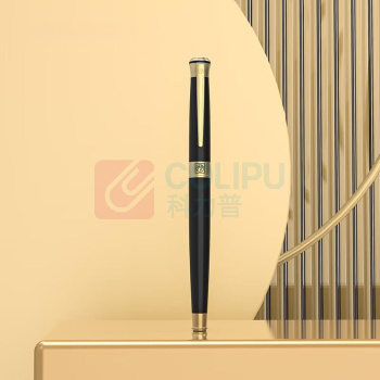 毕加索 PICASSO 铱金笔商务本册套装 PS-5515