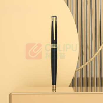 毕加索 PICASSO 宝珠笔商务本册套装 PS-5515
