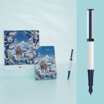 毕加索 PICASSO 森野仙踪系列钢笔套装 PS-5527 F尖 (雪境白)