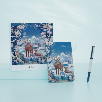 毕加索 PICASSO 森野仙踪系列钢笔套装 PS-5527 F尖 (雪境白)