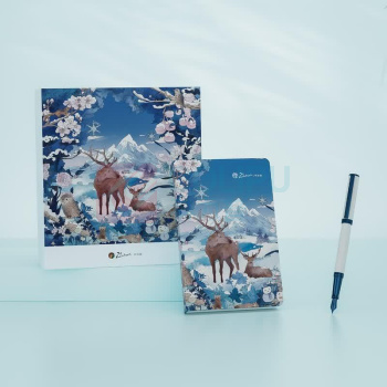 毕加索 PICASSO 森野仙踪系列钢笔套装 PS-5527 F尖 (森野绿)