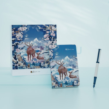 毕加索 PICASSO 森野仙踪系列钢笔套装 PS-5527 F尖 (湖海蓝)