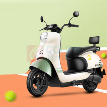 新日 电动自行车 丽曼5.0 双人踏板60V (本彩黑)