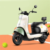 新日 电动自行车 丽曼5.0 双人踏板60V (本彩黑)