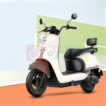 新日 电动自行车 丽曼5.0 双人踏板60V (本彩黑)