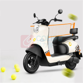 新日 电动自行车 丽曼5.0 双人踏板60V (本彩黑)