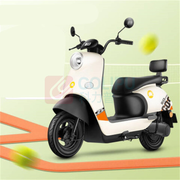 新日 电动自行车 丽曼5.0 双人踏板60V (本彩黑)