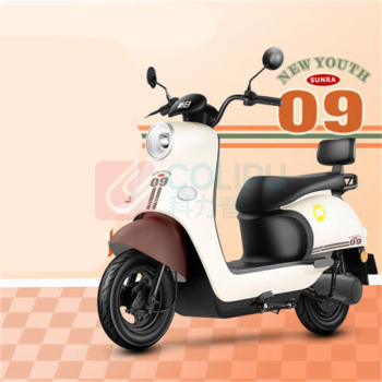 新日 电动自行车 丽曼5.0 双人踏板60V (本彩黑)
