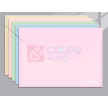 伟盛 文件袋 235mm*330mm 可定制