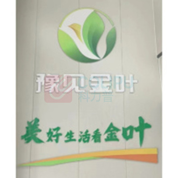 木安 定制亚克力水晶字公司 形象墙 含画面 含安装 定制款