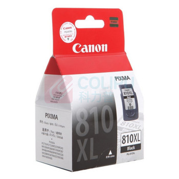 佳能 CANON 墨盒 PG-810 (黑色)