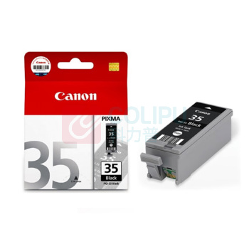 佳能 CANON 墨盒 PGI-35BK 191页 (黑色) 适用于IP110/IP100/TR150