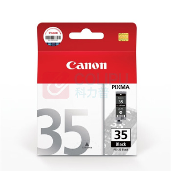 佳能 CANON 墨盒 PGI-35BK 191页 (黑色) 适用于IP110/IP100/TR150