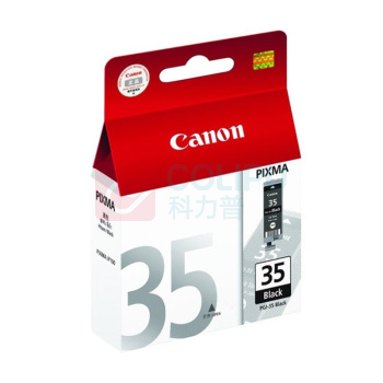 佳能 CANON 墨盒 PGI-35BK 191页 (黑色) 适用于IP110/IP100/TR150