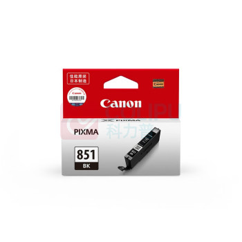 佳能 CANON 墨盒 CLI-851BK 1645页 (黑色)