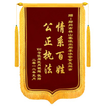 信发 TRNFA 彩旗 900×600 600×900mm (红色) DC