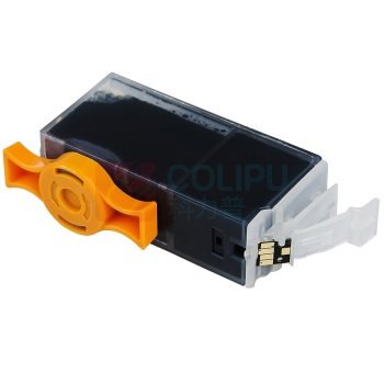 天威 PRINT-RITE 墨盒 PGI-825 IFCA41BPRJ 400页 (黑色) 专业装