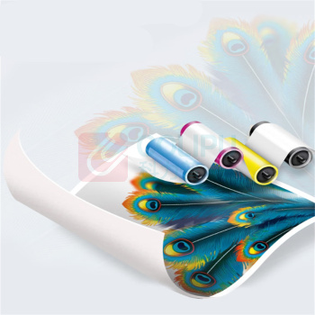 富士胶片 墨粉盒 CT203639 适用于Apeos 4570/5570机型 打印量10000页 (黑色)