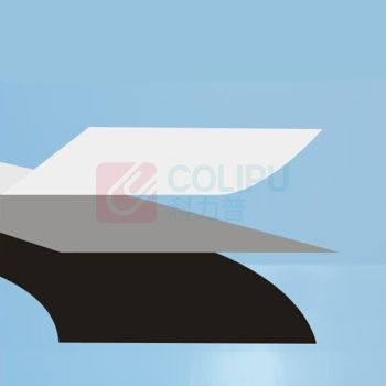 天威 PRINT-RITE 全树脂碳带 全树脂碳带-双支装 300m*110mm (黑色) 专业装 BBR004BPRA