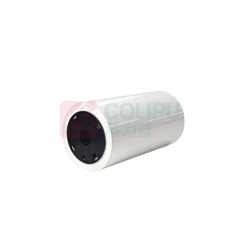 丽标 CAPELABEL 标签贴纸 D-PK260W 260mm*20m (白色)