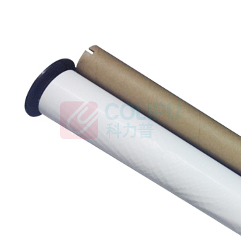 丽标 CAPELABEL 标签贴纸 NS-B260WT 260mmx20m (白色)