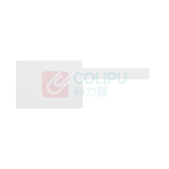 丽标 CAPELABEL 标签/标牌 P4530W 45mm*30mm+50mm (白色)