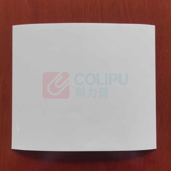 丽标 CAPELABEL 胶贴 LB300mm*400mm (白色)