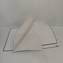 丽标 CAPELABEL 标签 SL-LB 260mm*299mm(10张\盒) (白色)