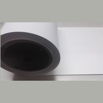 丽标 CAPELABEL 标签胶贴 D-PK220G 220mm*20M (绿色)