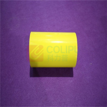 丽标 CAPELABEL 不干胶标签 D-PK220Y 220mm*20M (黄色)