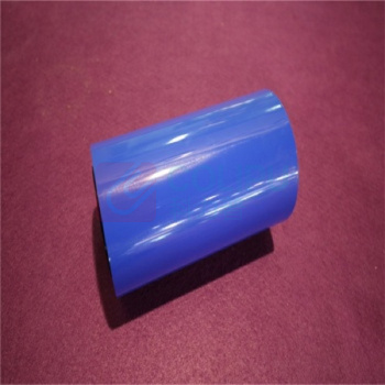 丽标 CAPELABEL 不干胶标签 D-PK220B 220mm*20M (蓝色)