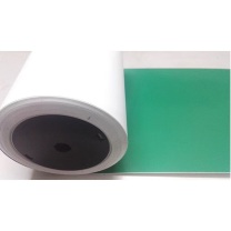 丽标 CAPELABEL 不干胶标签 D-PK220G 220mm*20M (绿色)