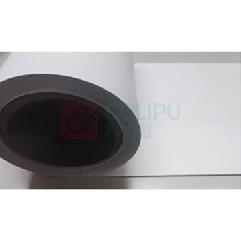 丽标 CAPELABEL 不干胶标签 D-PK260W 260mm*20M (白色)