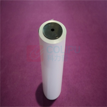 丽标 CAPELABEL 不干胶标签 D-PK260W 260mm*20M (白色)