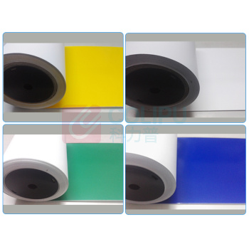 丽标 CAPELABEL 绿色贴纸(宽幅机系列260MM宽20M长) D-PK260G 260MM*20M (绿) 6盒/箱