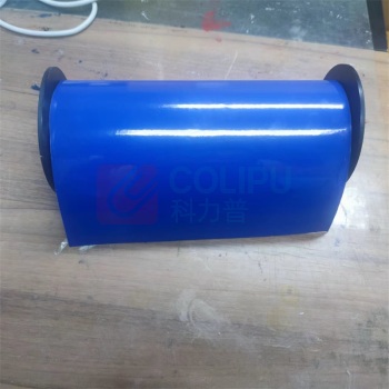 丽标 CAPELABEL 不干胶标签 D-LC300B 290mm*20M (蓝)