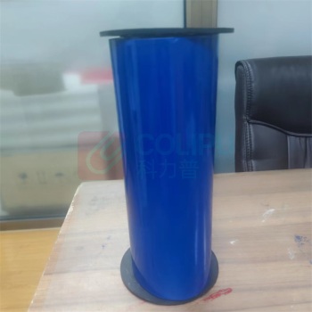 丽标 CAPELABEL 不干胶标签 D-LC300B 290mm*20M (蓝)