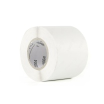 斑马(ZEBRA) 热敏纸不干胶标签 60mm*40mm*1000张 (白色) 10卷/箱 小管芯