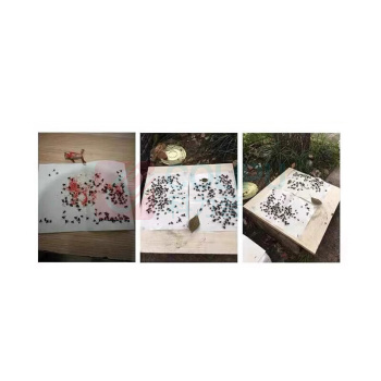 锐本 强力粘蝇纸 30张
