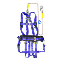 理联 五点式围杆安全带 全身式单绳登杆安全带 LN-WY05F (蓝色) 1条