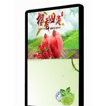洛菲特 49英寸 广告机 (计价单位:台) LFT49XD-LS1 (黑色)
