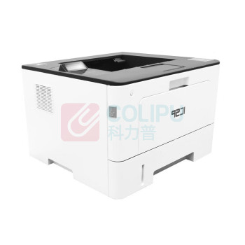 爱胜品 黑白激光打印机 P1240DN 单打印/40页/双面/网络