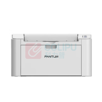 奔图 Pantum A4黑白激光打印机 P2505N
