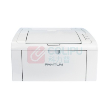 奔图 Pantum 黑白激光打印机 P2506 A4