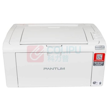 奔图 Pantum 黑白激光打印机 P2506 A4