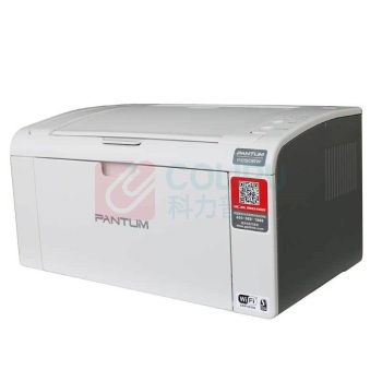 奔图 Pantum 黑白激光打印机 P2506 A4