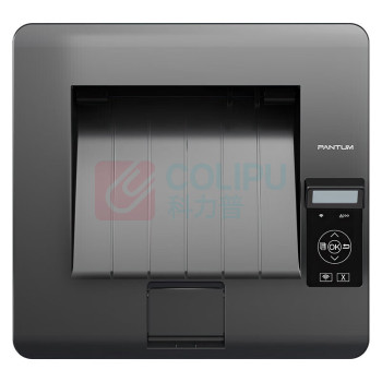 奔图 Pantum A4黑白激光打印机 BP5100DW (白色+深灰)