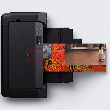 佳能 CANON 黑色喷墨打印机 PRO-200 喷墨A3+幅面EOS影像设计打印机